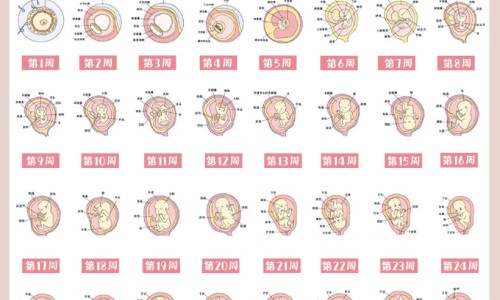 【吃什么回奶效果好】吃啥回奶最快最好 - 吃啥有回奶的效果最好网