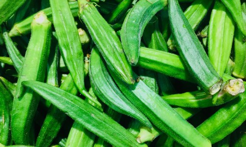 吃什么食物可以回奶最快最有效-【吃什么回奶效果好】吃啥回奶最快最好 - 吃啥有回奶的效果最好网