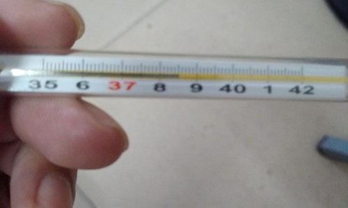 吃什么食物可以回奶最快最有效-【吃什么回奶效果好】吃啥回奶最快最好 - 吃啥有回奶的效果最好网